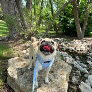 Meet your Posher, Alyssa.